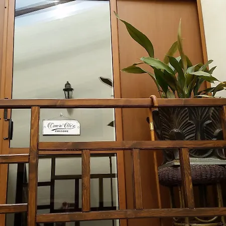 Πανσιόν My Guest