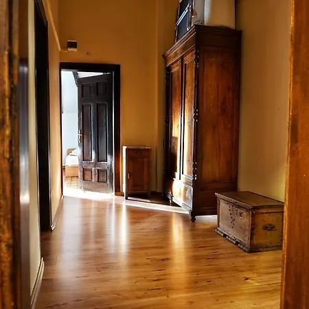 My Guest 普罗夫迪夫