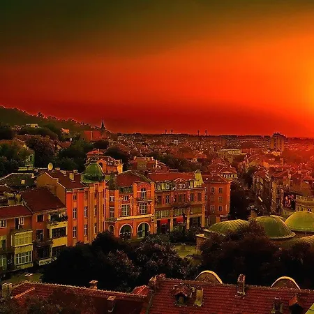 My Guest 게스트하우스 3*